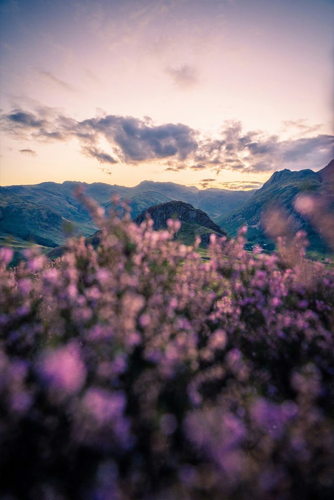 A gorgeous sunrise over the mountains. Photo by  Jonny Gios via UnSplash