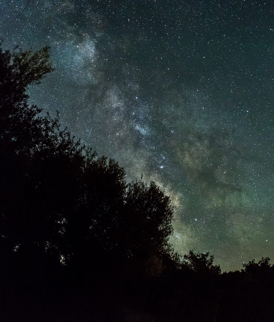 the milky way above a forest